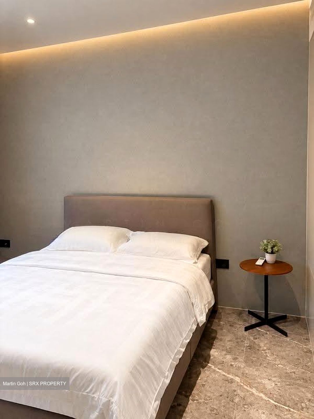Cuscaden Reserve (D10), Condominium #627405901